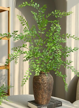 仿真蕨类假绿植橱窗造景配材装饰