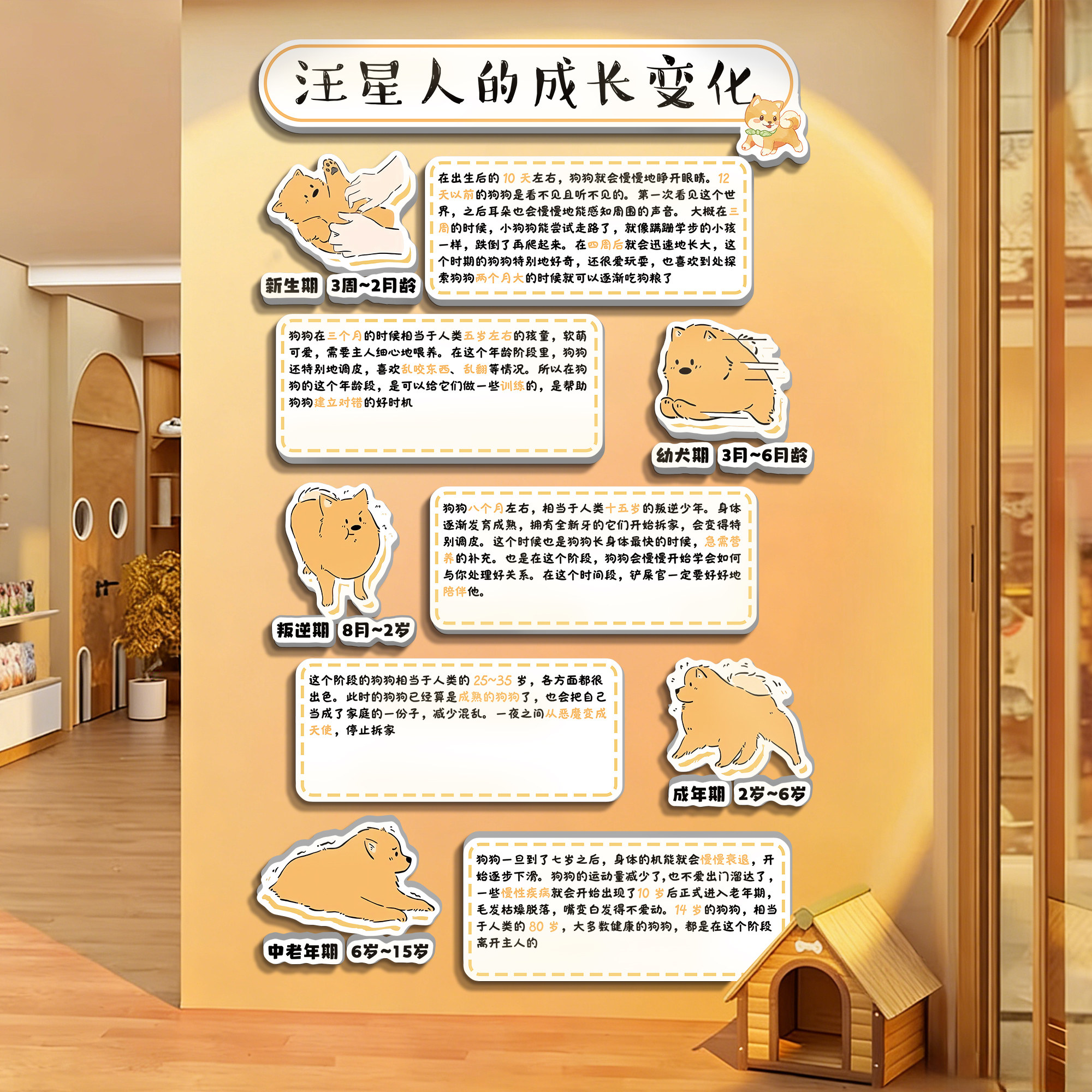 宠物店形象墙面装饰品氛围布置猫咖成长变化广告海报贴纸医院文化