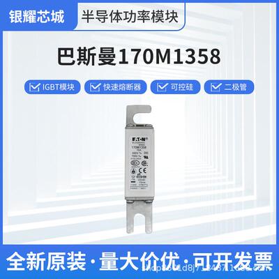 巴斯曼直流低压熔断器170M1358电路保护底座现货