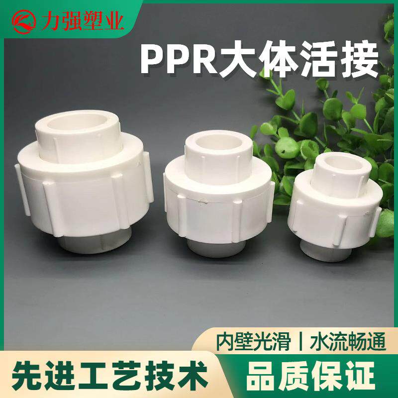 PPR全塑活接20-75全塑活接加大加厚款PPR大体活接头水管配件