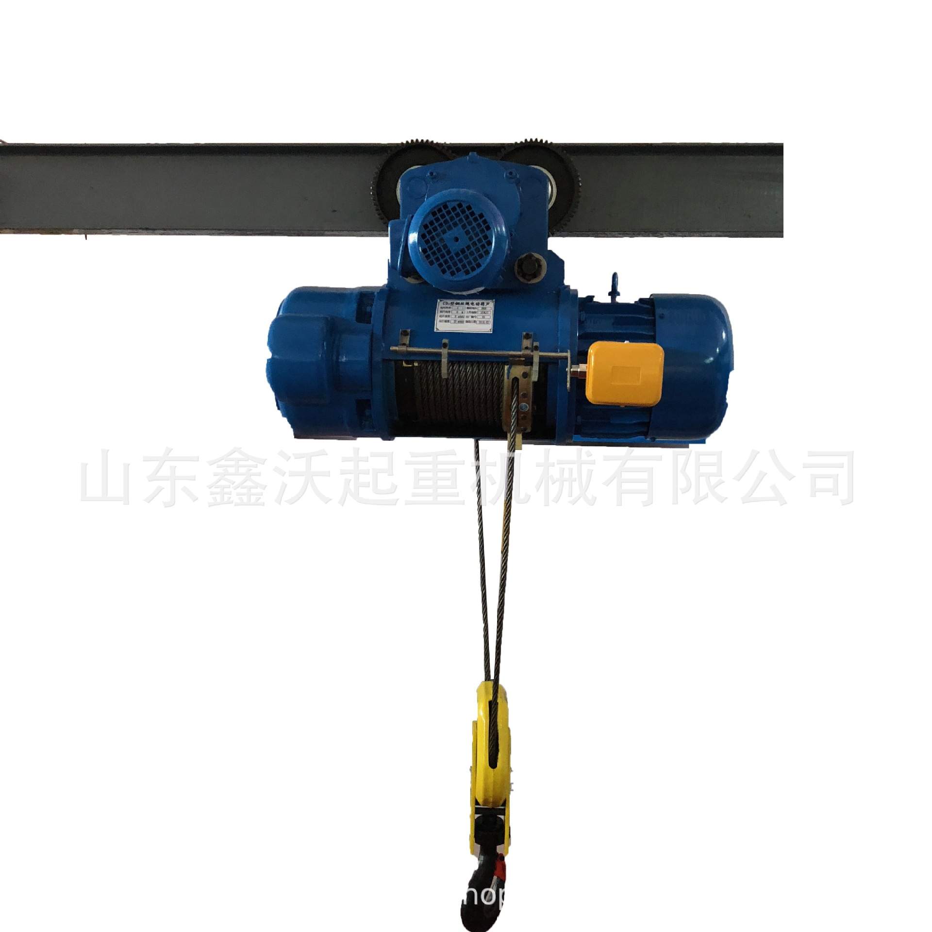 Overhead crane chain hoist with plain trolley for sale