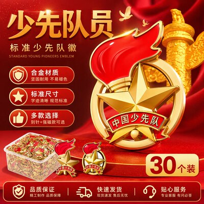 中国少先队队徽徽章少先队员小学校徽小学生别针款强磁标准红领巾磁铁少年先锋队正版儿童专用磁吸式对微