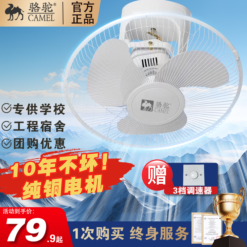 骆驼吸顶扇楼顶扇家用吊扇客厅吊顶扇学校摇头电风扇静音遥控扇