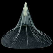 新娘结婚主婚纱头纱超仙森系长款 大拖尾珍珠头纱配饰2024秋冬新品