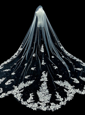 新娘结婚主婚纱头纱超仙森系高级感蕾丝长拖尾头纱闪闪发光头纱