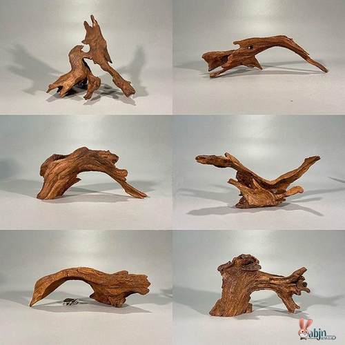 枯木摆件专用树干小木桩盲盒底座原木墩树桩拍摄手工装饰造景配件