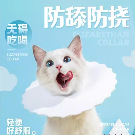 小奶猫周抛式猫头套项圈德文猫防咬防舔防护罩猫咪专用伊丽莎白圈