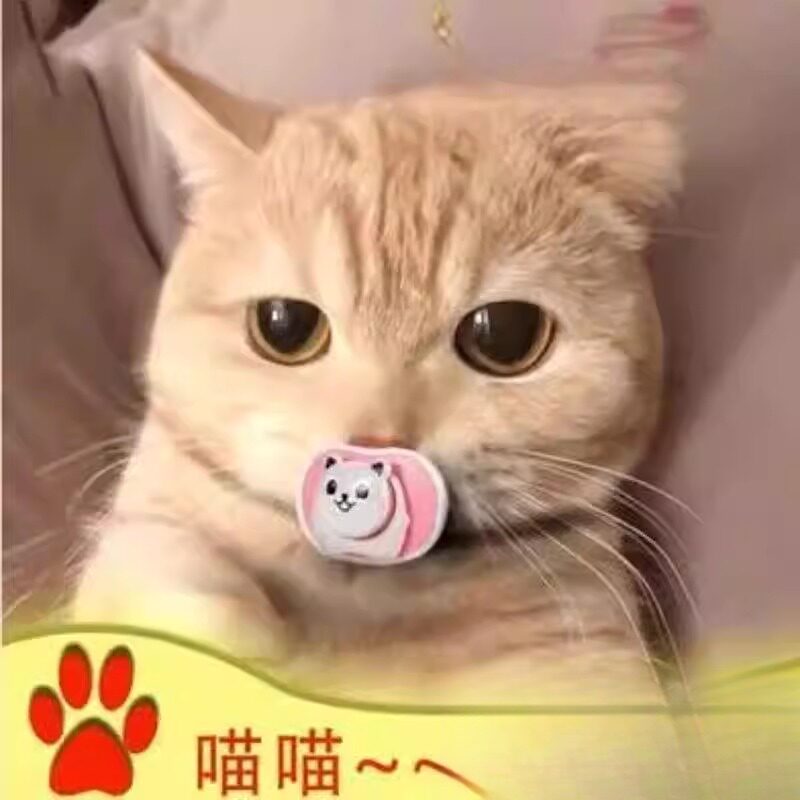 小猫咪安抚奶嘴宠物猫用安抚奶嘴专用神器新生幼犬幼猫睡觉磨牙玩图片