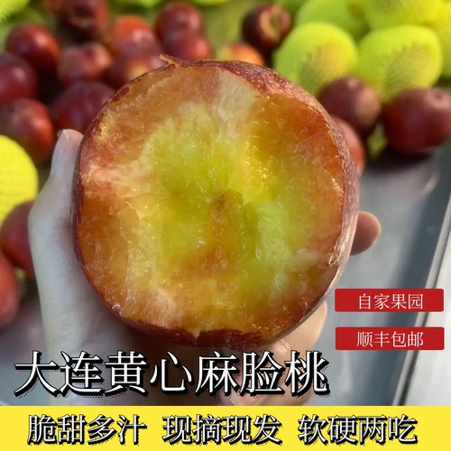 新鲜油桃大连油桃2500g大连皮薄