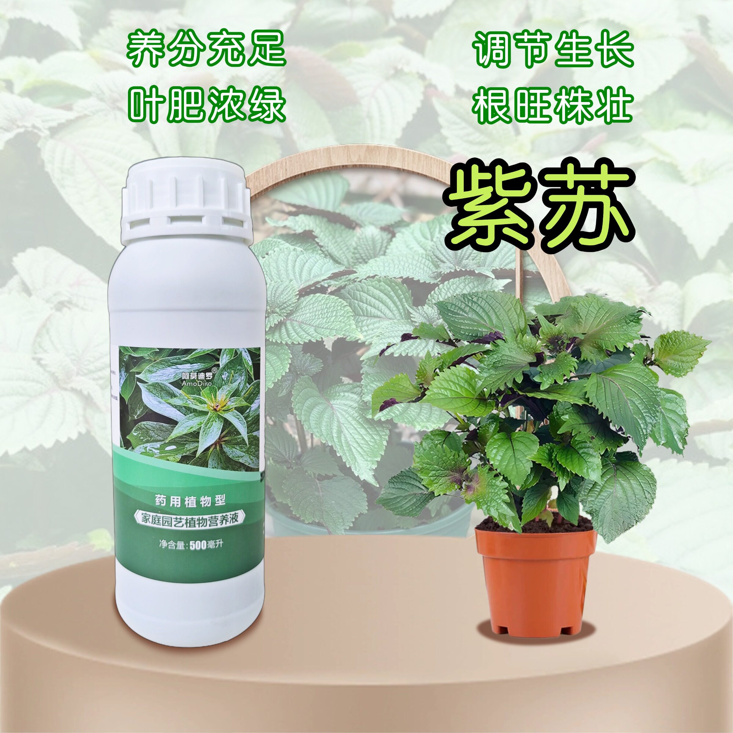 紫苏盆栽五彩苏彩叶草营养液庭院专用地栽植物浓缩液体肥料