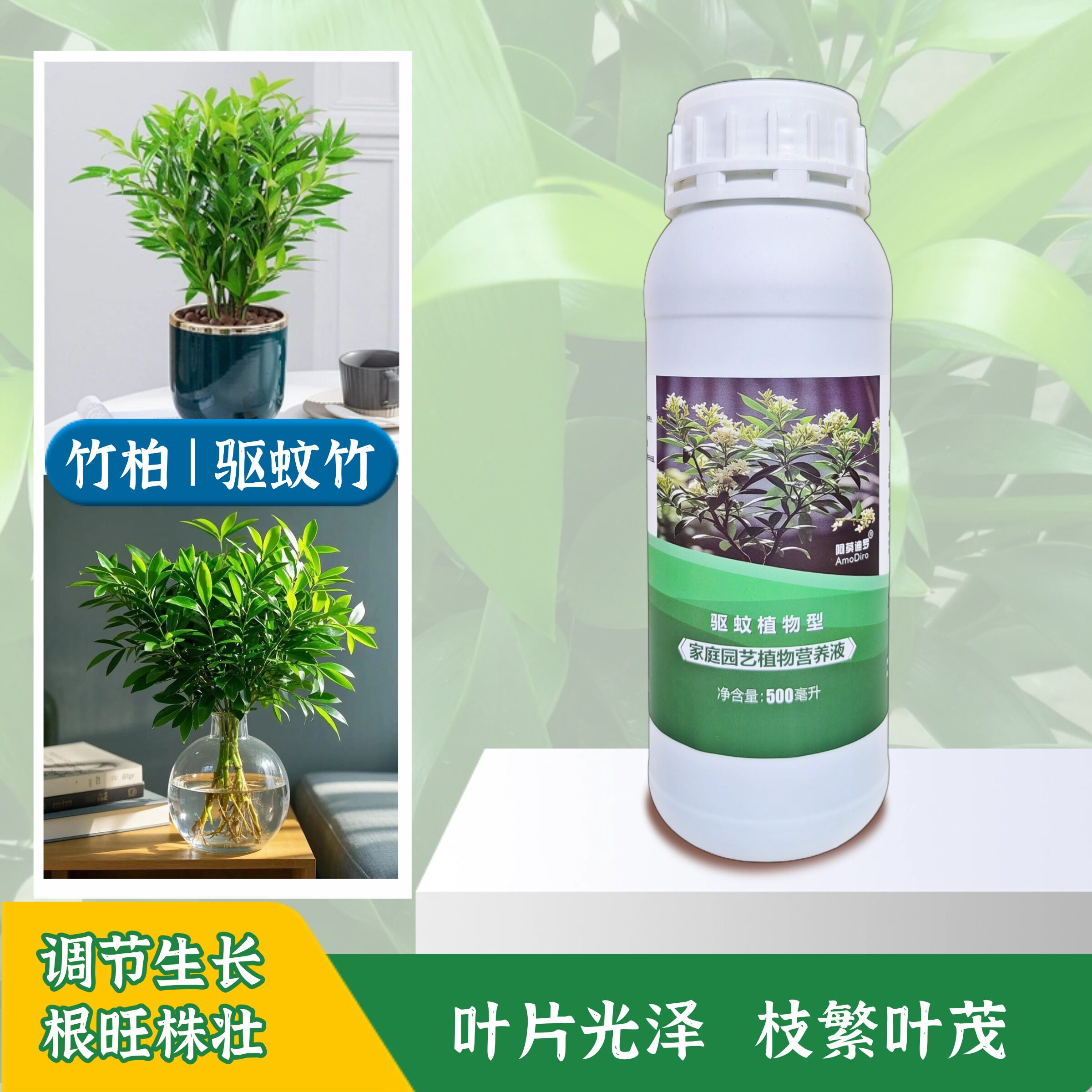 竹柏水培驱蚊竹营养液室内客厅水养四季盆栽老桩绿植物肥料