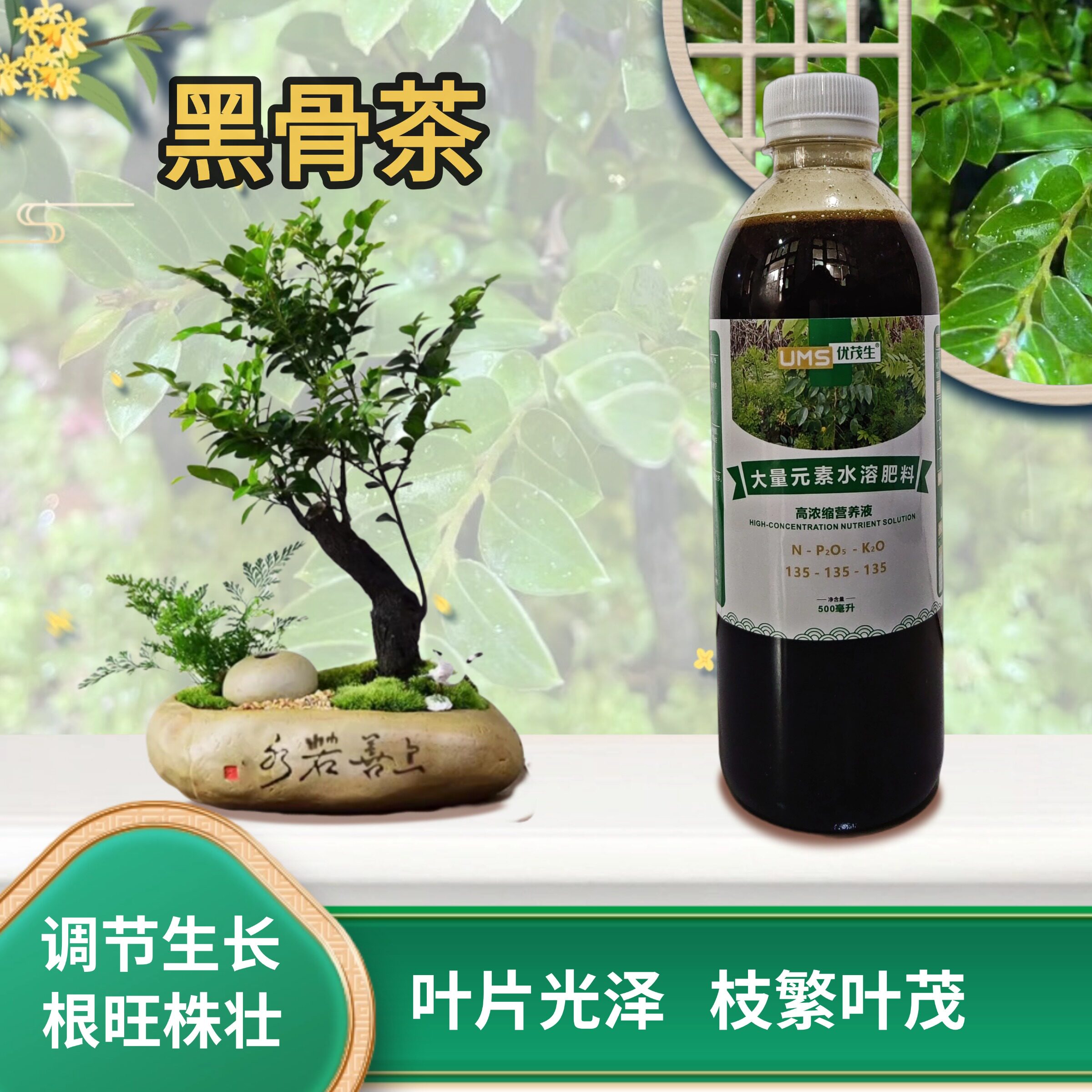黑骨茶小叶紫檀树苗营养液盆景老桩盆栽专用大量元素水溶肥料