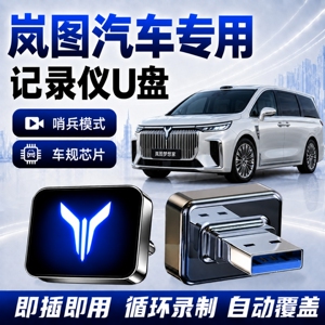 岚图记录仪哨兵专用高速U盘