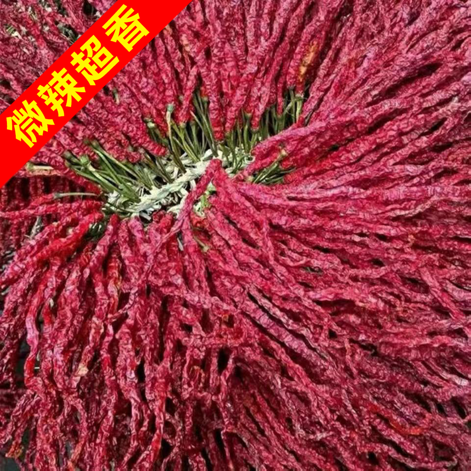 贵州干辣椒重霸天二荆条