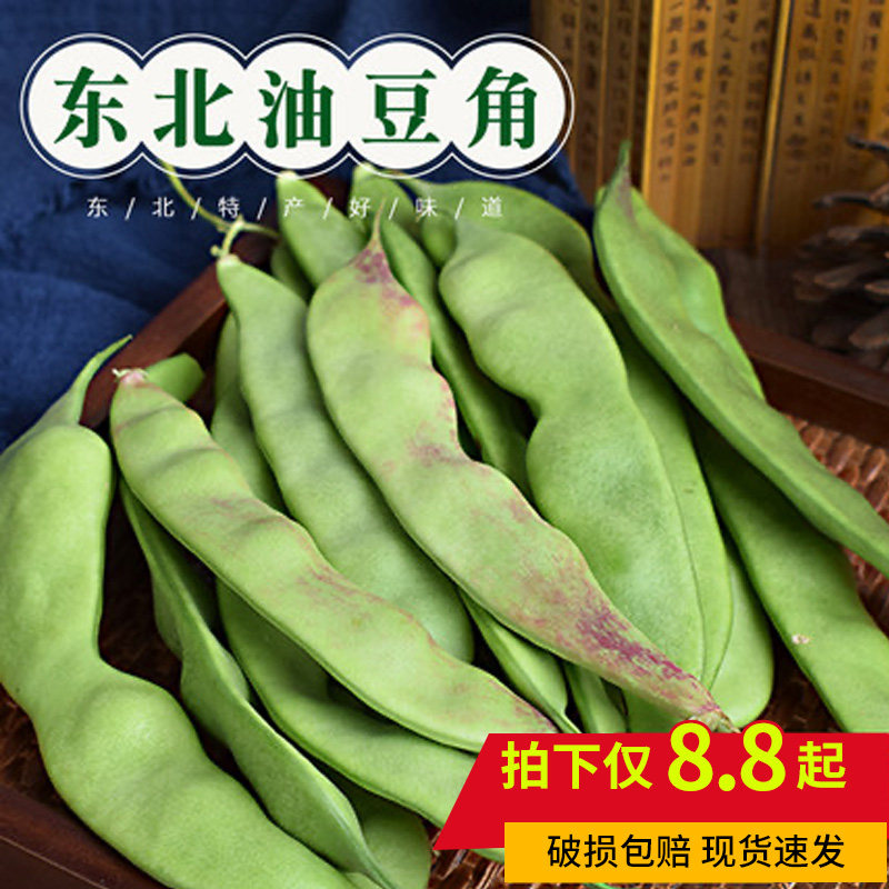 东北油豆角 农家新鲜蔬菜特产九月青开锅烂现摘自种开锅烂5斤包邮