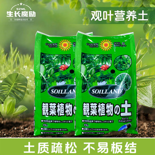 观叶绿叶植物专用营养土家用绿萝发财树龟背竹花土虎皮兰种植泥土