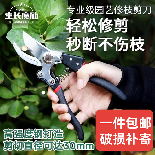 园艺剪刀家用果树花枝
