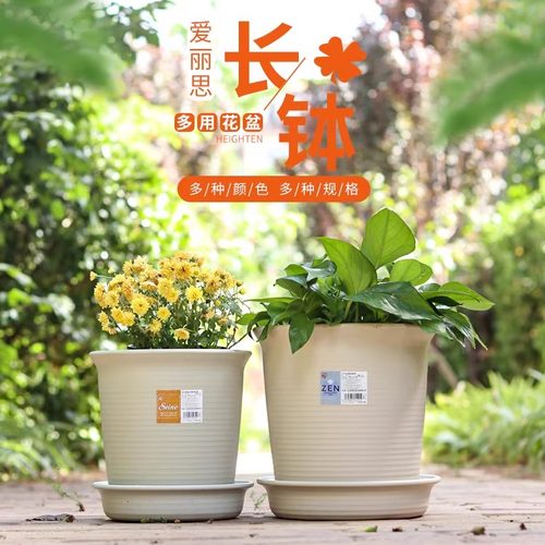 爱丽思深型花盆兰花月季铁线莲