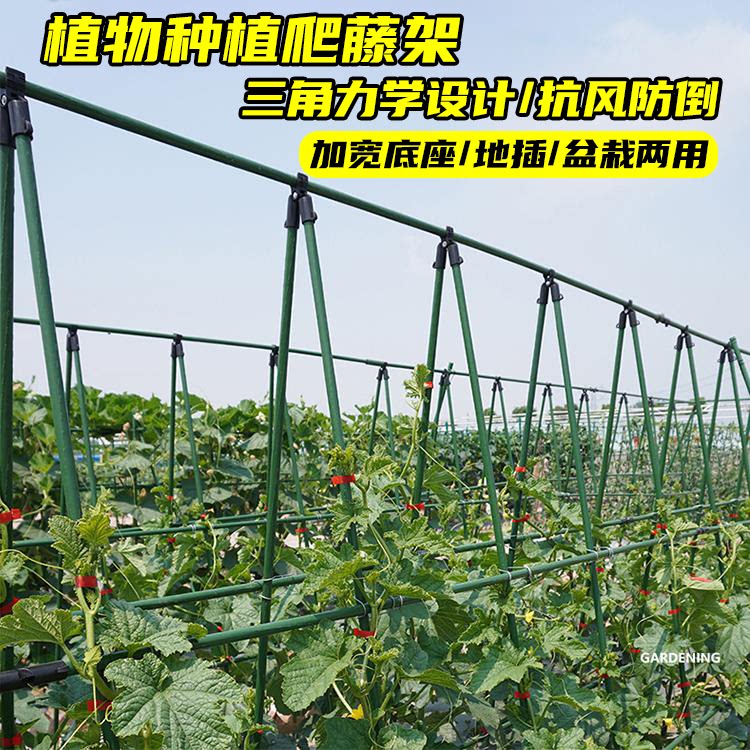 黄瓜爬藤架花架豆角葡萄丝瓜番茄支架植物月季种菜架子园艺支撑杆