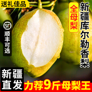 新疆库尔勒香梨斤正宗新鲜水果整箱应当季产地直发顺丰整箱现货5