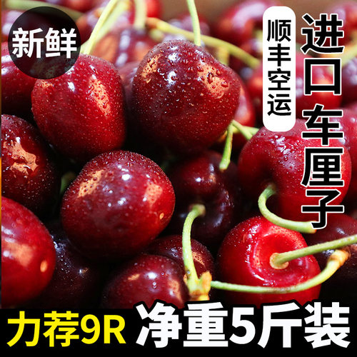 【顺丰空运】美国车厘子单果10R