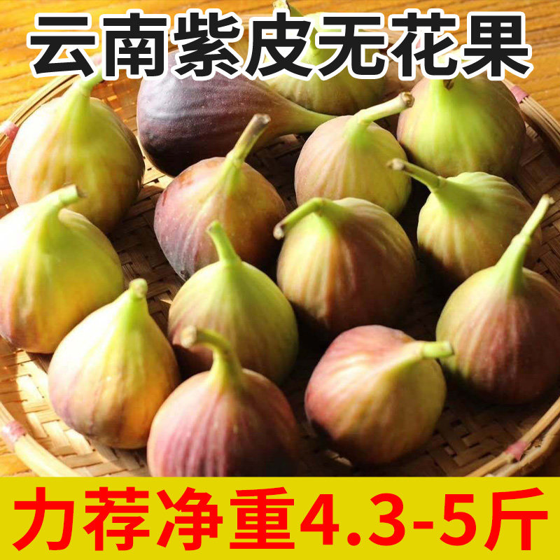 云南紫皮无花果顺丰清甜现摘当季