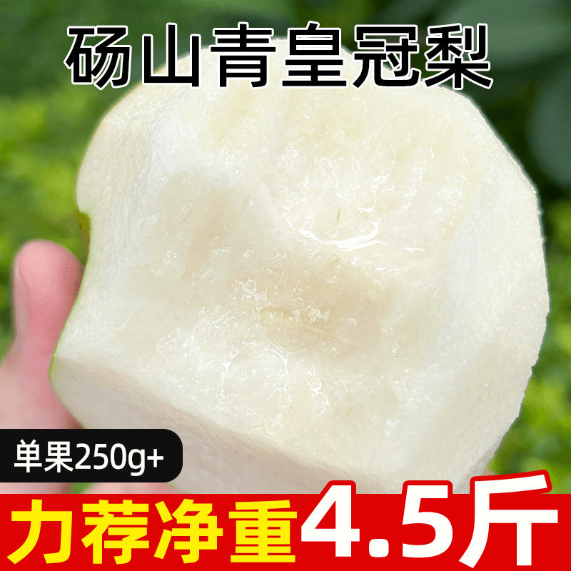 安徽砀山青皮皇冠梨原产地