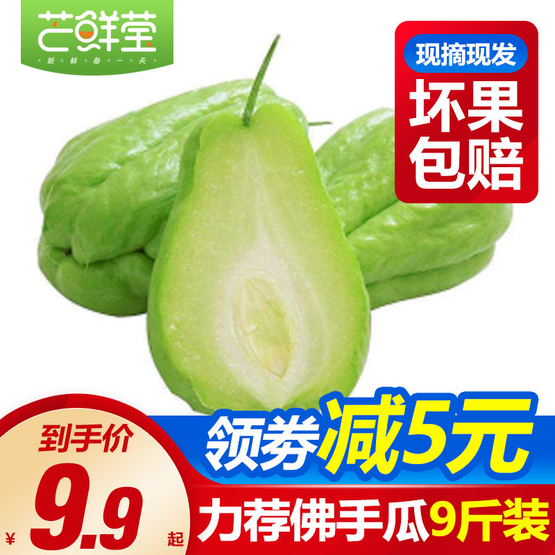 佛手瓜新鲜 价格 怎么样 图片