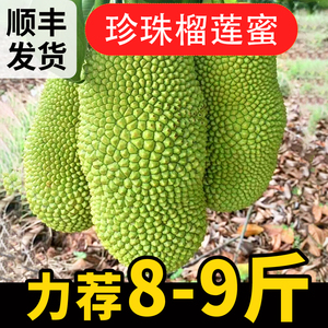 【顺丰快递】海南珍珠榴莲蜜新鲜