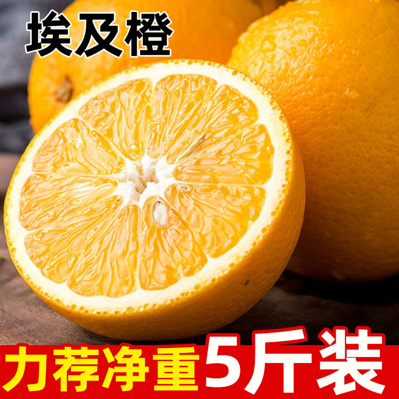 现货进口埃及橙新鲜水果