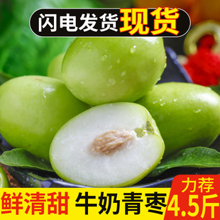 正宗福建牛奶大青枣新鲜枣子当季奶油蜜脆枣贵妃冬时令水果整箱发