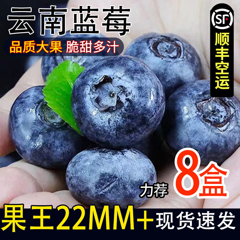 云南高原蓝莓产地应当季新鲜水果