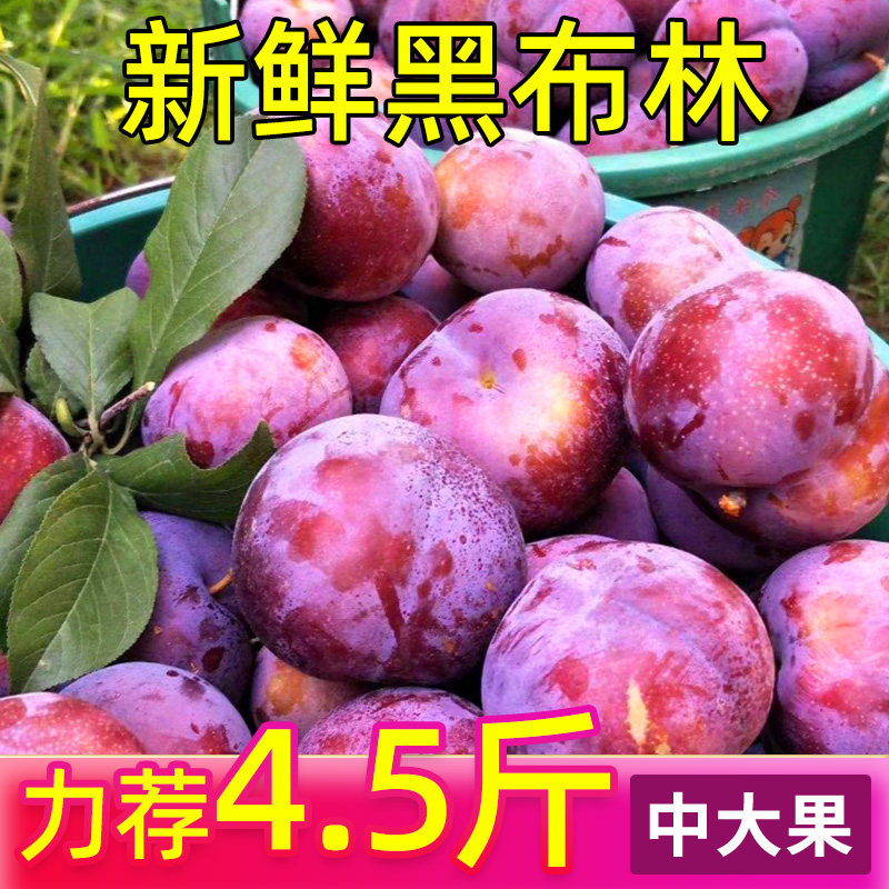 新鲜黑布林大李子应季现摘新鲜果