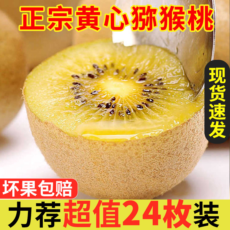 黄心猕猴桃奇异果当季是个四川产地现摘现发猕猴桃皮薄香甜多汁种