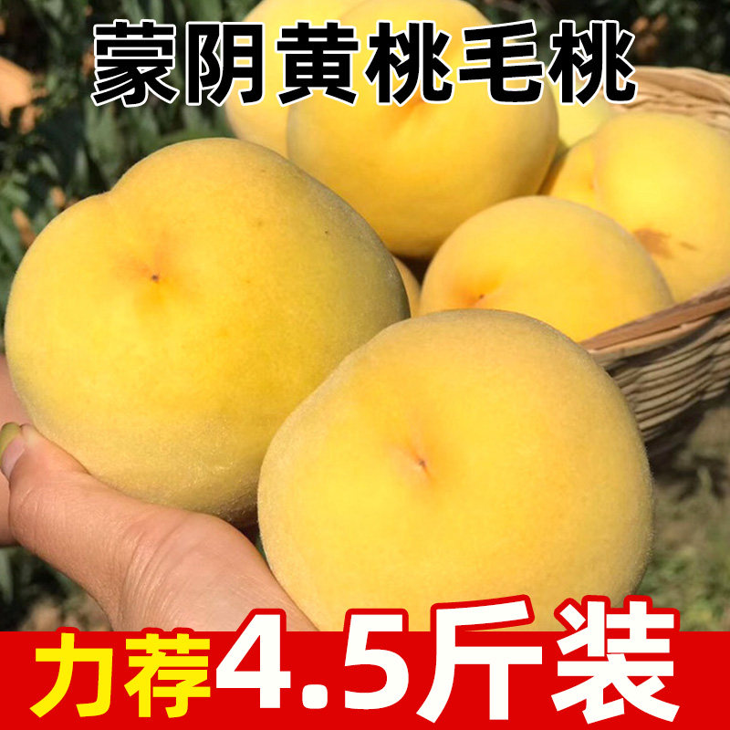 正宗山东蒙阴黄桃毛桃新鲜水果