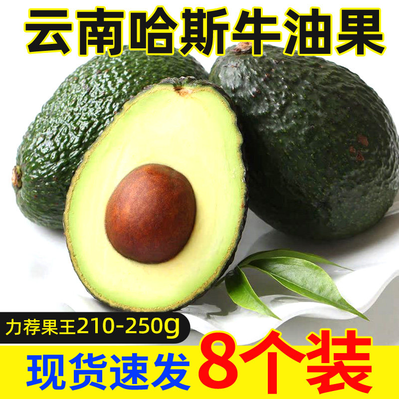 云南哈斯牛油果宝宝辅食应季果