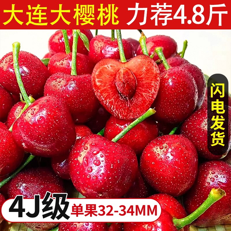 辽宁大连美早大樱桃新鲜现摘产地4大果J甜多汁应当季水果顺丰速发