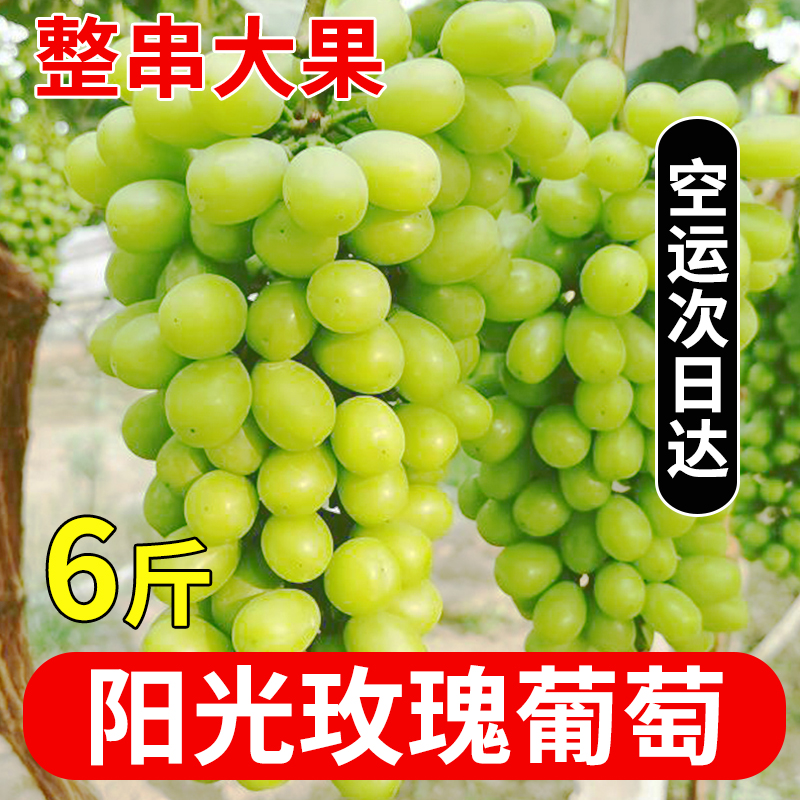 提子新鲜水果阳光玫瑰葡萄