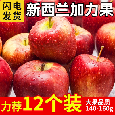 新西兰加力果水果新鲜当季现发