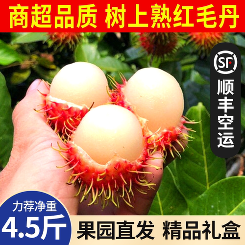 海南红毛丹新鲜水果顺丰空运