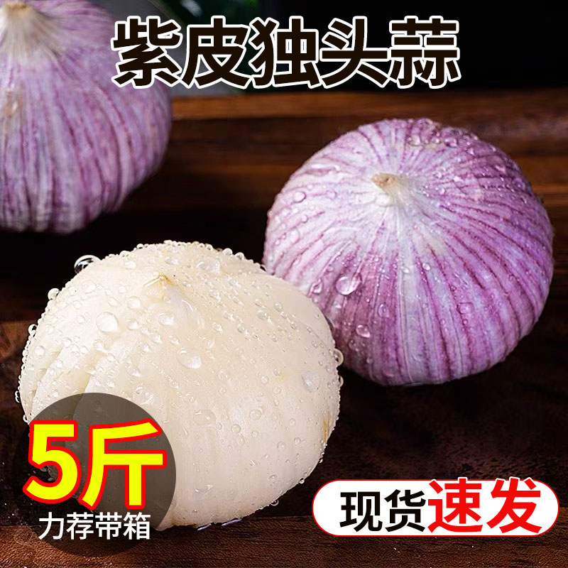 辽宁紫皮独头蒜挖新鲜蔬菜农家种