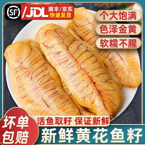 新鲜黄花鱼籽真大号！顺丰到家