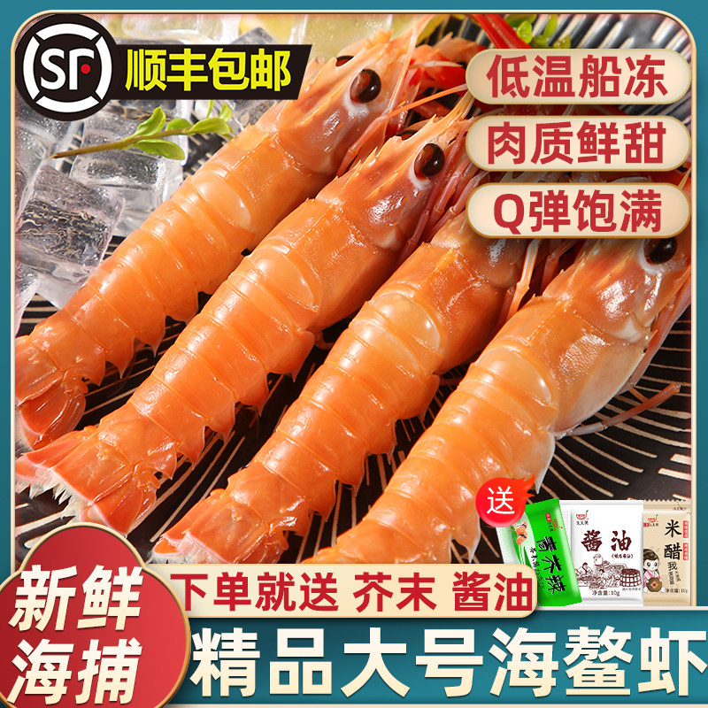 新鲜海捕鳌虾鲜活鳌虾船冻甜虾深海海螯虾日料品质即食海鲜大鳌虾