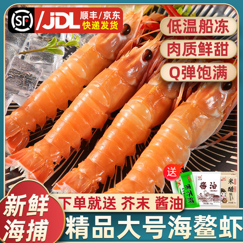 新鲜海捕鳌虾甜虾日料食材