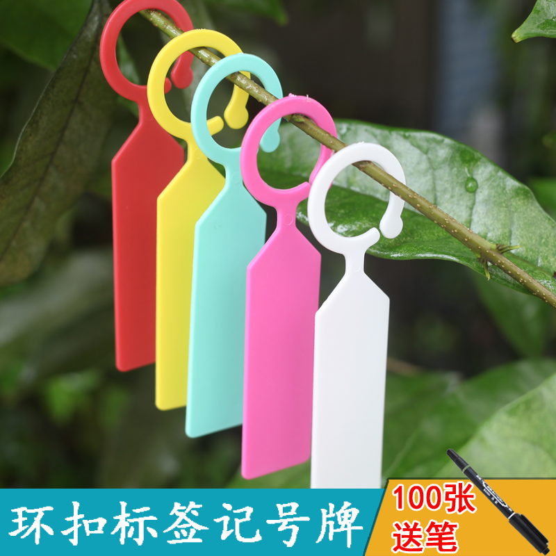 植物标签挂牌加厚环扣记号牌园艺小标签识别花卉牌多肉盆栽标签绿植防水 挂牌