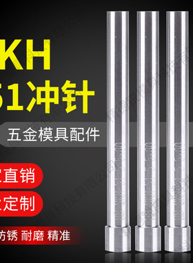 模具冲针SKD11SKH-51高速钢T冲 SKH-9五金冲头不锈钢冲头非标定制