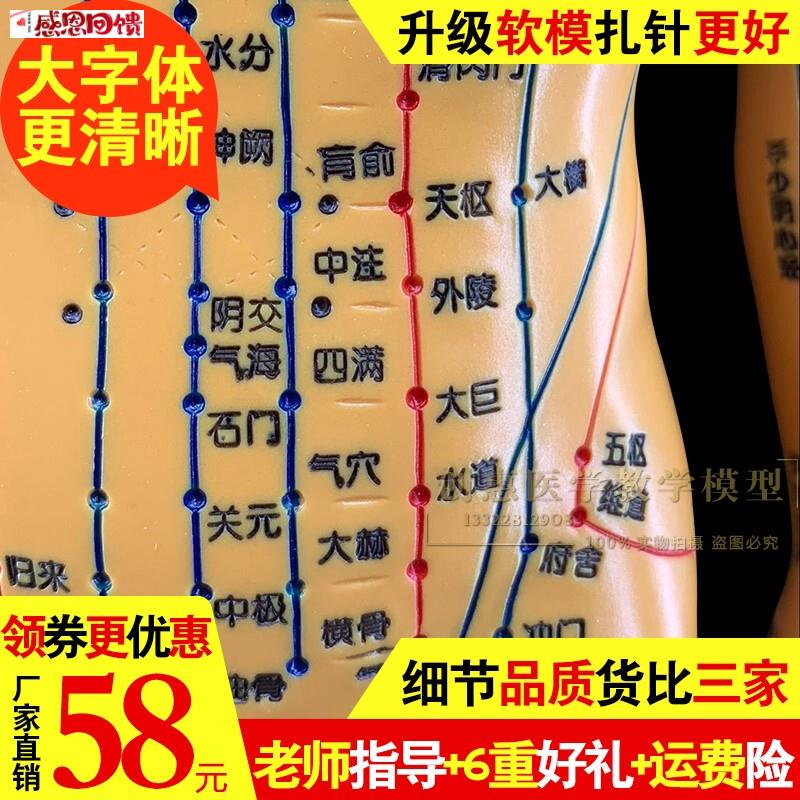 针灸穴位人体模型经络教学模型中医超清小铜人推拿T按摩练习硅胶
