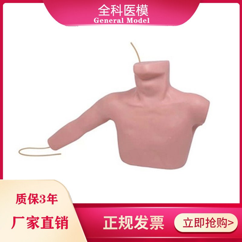 PICC深静脉置管练习外y周穿刺中心静脉穿刺插管训练模型