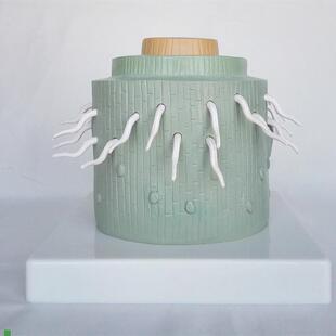 植物双子叶根j解剖模型植物解剖模型生物教学模型