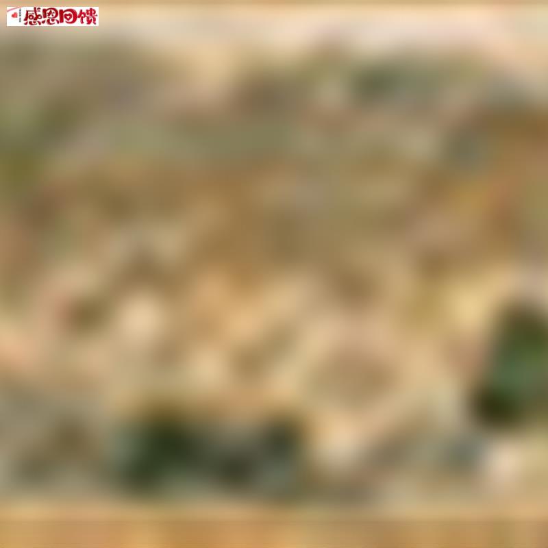 清冯宁仿杨大章宋院本金陵图卷国画人物Q风俗画长卷艺术微喷复制